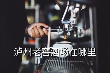 瀘州老窖酒場在哪里