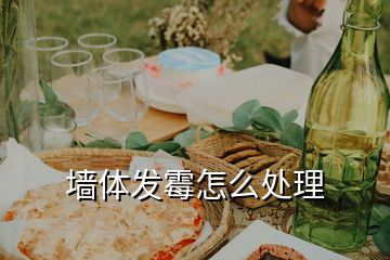墻體發霉怎么處理