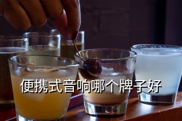 便攜式音響哪個牌子好