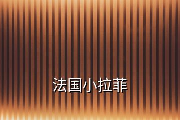 法國小拉菲