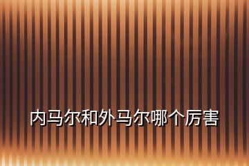內馬爾和外馬爾哪個厲害