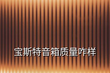 寶斯特音箱質量咋樣