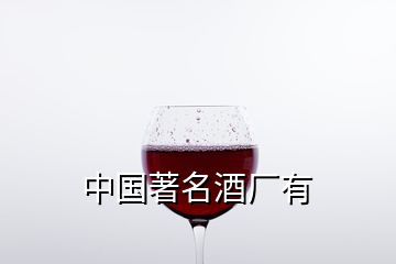 中國(guó)著名酒廠有