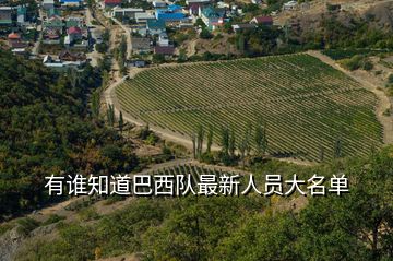 有誰知道巴西隊最新人員大名單