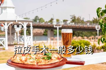 拉皮手術一般多少錢