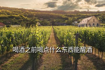 喝酒之前喝點什么東西能醒酒