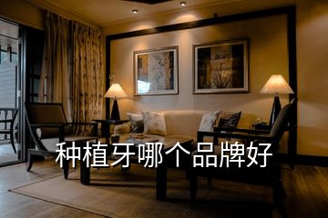 種植牙哪個品牌好