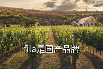 fila是國產品牌