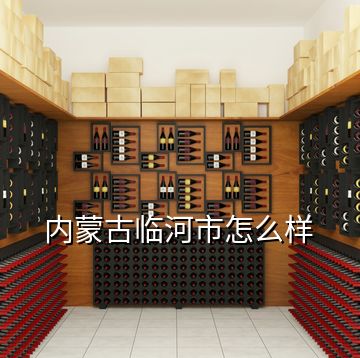 內蒙古臨河市怎么樣