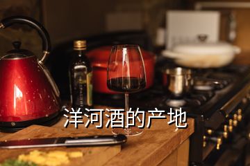洋河酒的產地