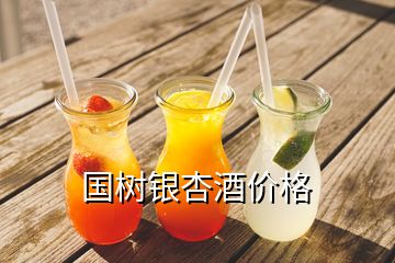國樹銀杏酒價格