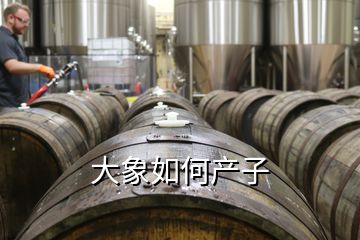 大象如何產子
