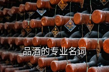 品酒的專業名詞