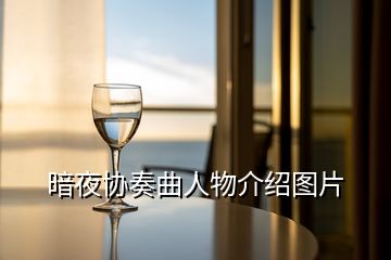暗夜協奏曲人物介紹圖片