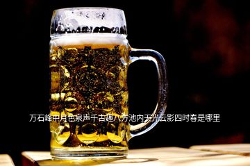 萬石峰中月色泉聲千古趣八方池內天光云影四時春是哪里