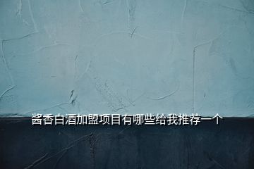 醬香白酒加盟項目有哪些給我推薦一個