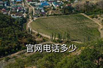 官網電話多少