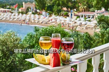 哪家品牌的樂(lè)器音箱比較專業(yè)功能比較多的