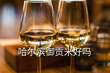 哈爾濱御貢米好嗎