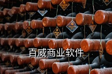 百威商業軟件