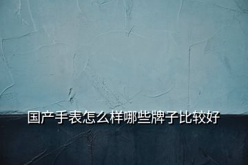 國產手表怎么樣哪些牌子比較好