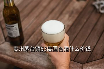 貴州茅臺鎮53度國臺酒什么價錢