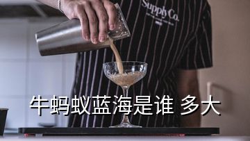 牛螞蟻藍海是誰 多大