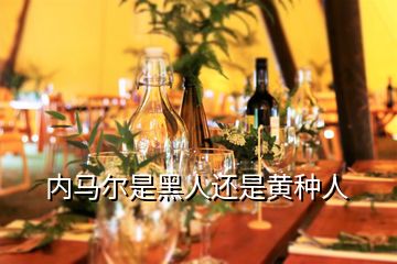內馬爾是黑人還是黃種人
