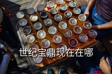 世紀寶鼎現在在哪
