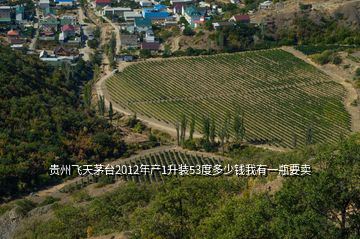 貴州飛天茅臺2012年產1升裝53度多少錢我有一瓶要賣