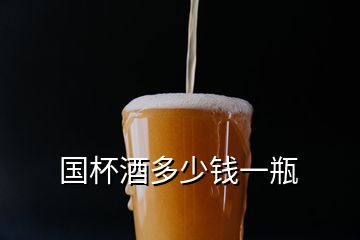 國杯酒多少錢一瓶