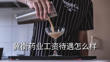 冀衡藥業工資待遇怎么樣