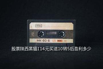 股票陜西黑貓114元買進10轉5后盈利多少