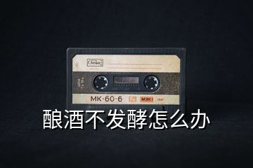 釀酒不發酵怎么辦