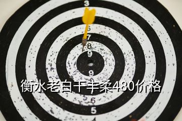 衡水老白干豐柔480價格