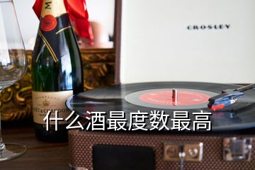什么酒最度數最高