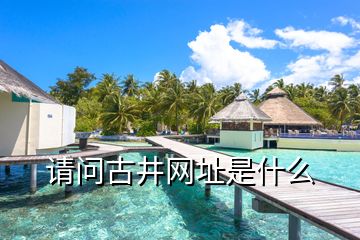 請問古井網址是什么