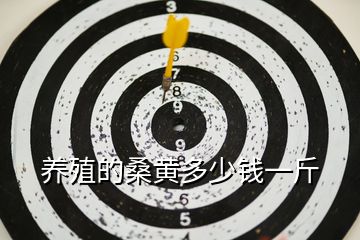 養殖的桑黃多少錢一斤