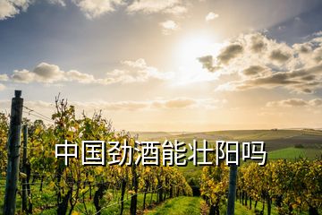 中國勁酒能壯陽嗎