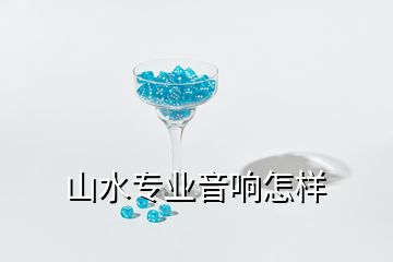 山水專業音響怎樣