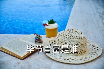 畢節首富是誰