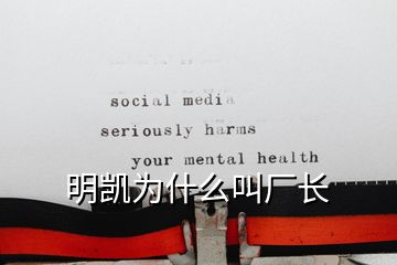 明凱為什么叫廠長
