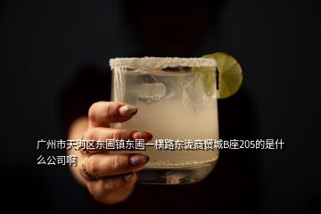 廣州市天河區東圃鎮東圃一橫路東瀧商貿城B座205的是什么公司啊