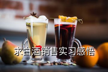 求白酒銷售實習感悟