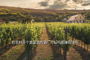 在農村開個高粱酒的酒廠可以嗎能賺到錢嗎