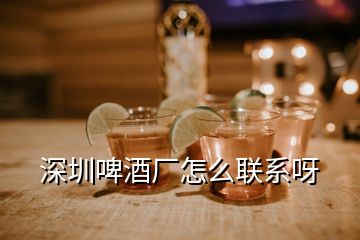 深圳啤酒廠怎么聯系呀