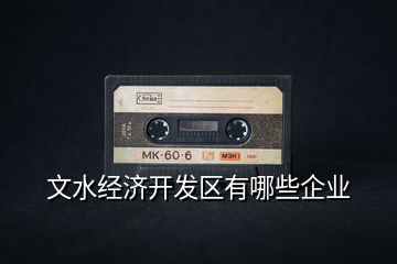 文水經濟開發區有哪些企業