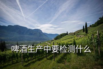 啤酒生產中要檢測什么