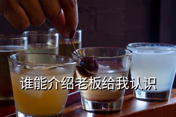 誰(shuí)能介紹老板給我認(rèn)識(shí)