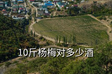 10斤楊梅對多少酒